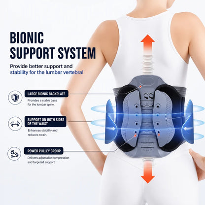 BLUE JOINTS™ BACK BRACE